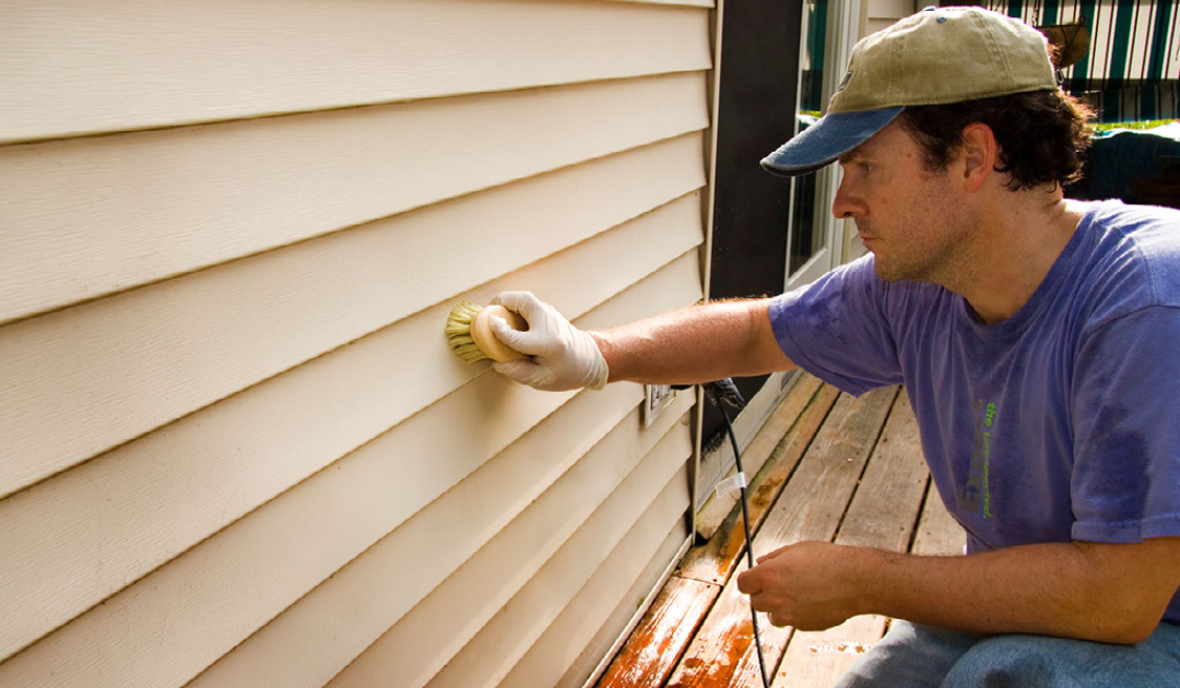 Vinyl Siding Cleaning