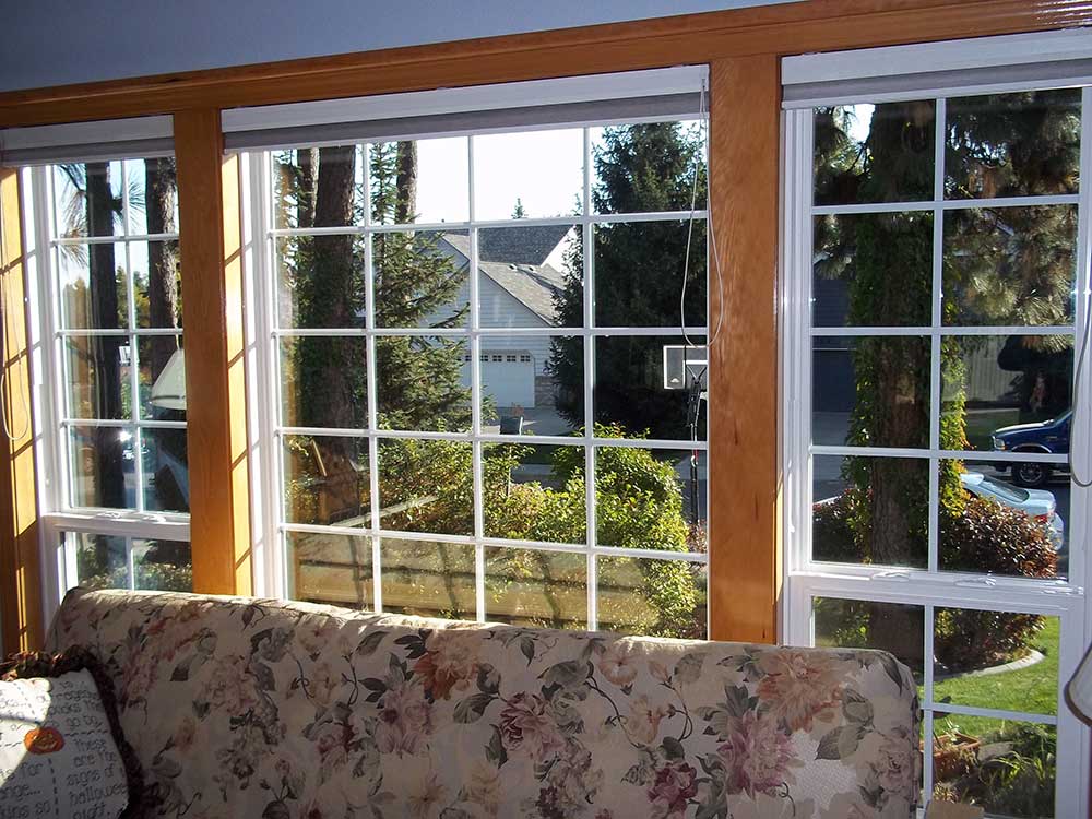 vpi windows review