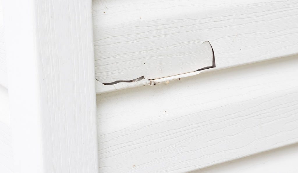 Siding Replacement