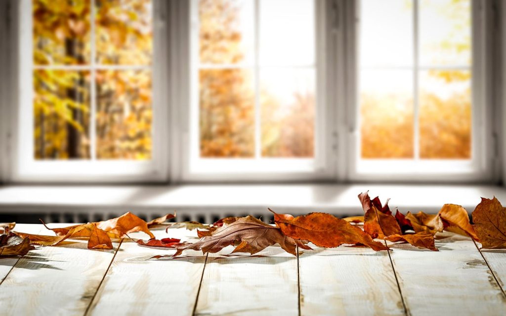 Picture Windows